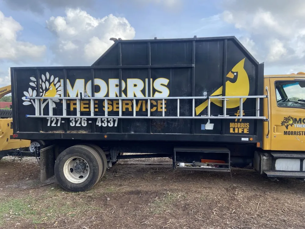 Affordable lawn mowing service for outdoor upgrades in Holiday, FL by Goodson’s Welding & Fabrication