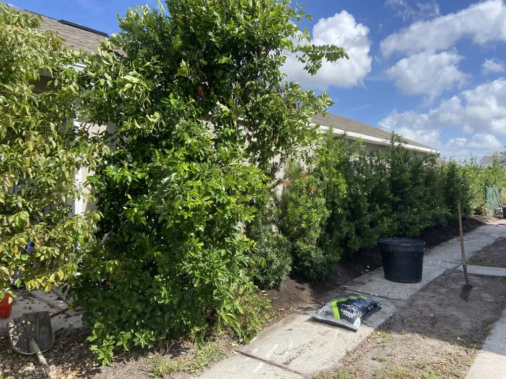 Top-rated residential landscaping with custom design across Holiday, FL - Goodson’s Welding & Fabrication