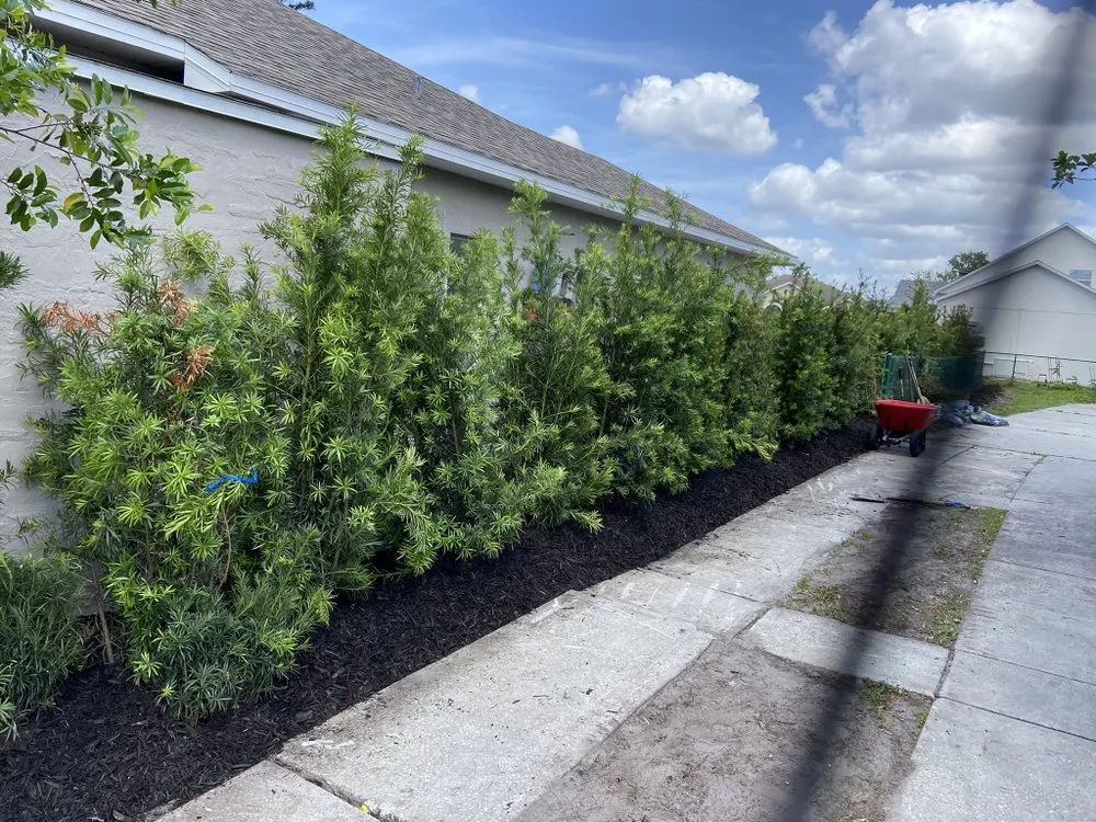 Affordable landscaping services in Holiday, FL by Goodson’s Welding & Fabrication