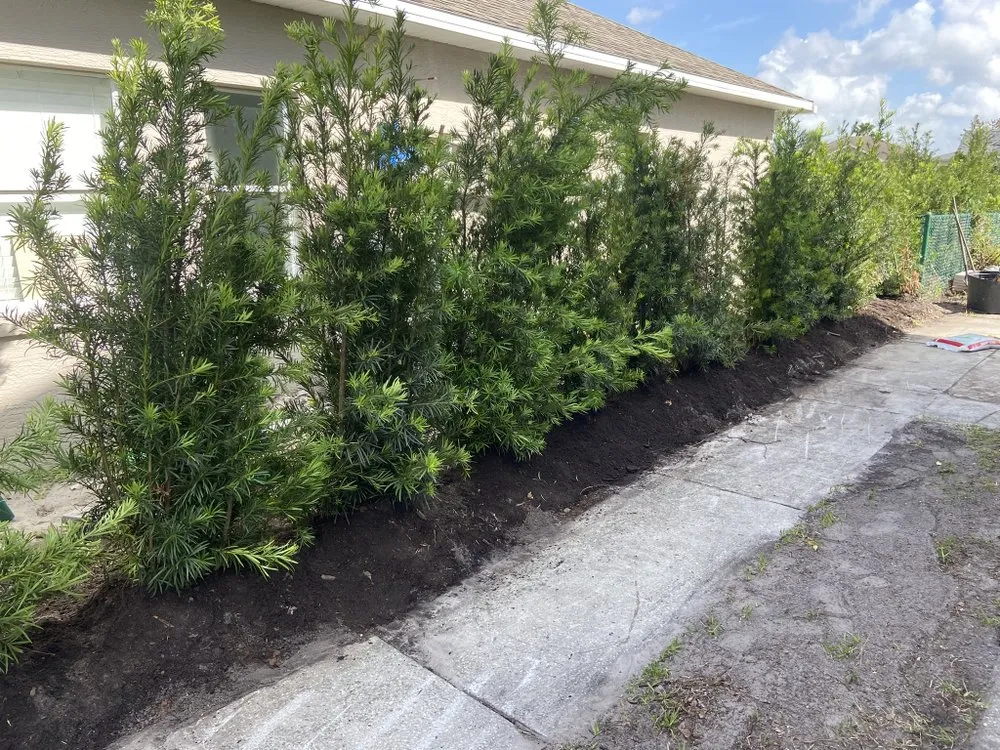Expert landscape installation in Holiday, FL by Goodson’s Welding & Fabrication