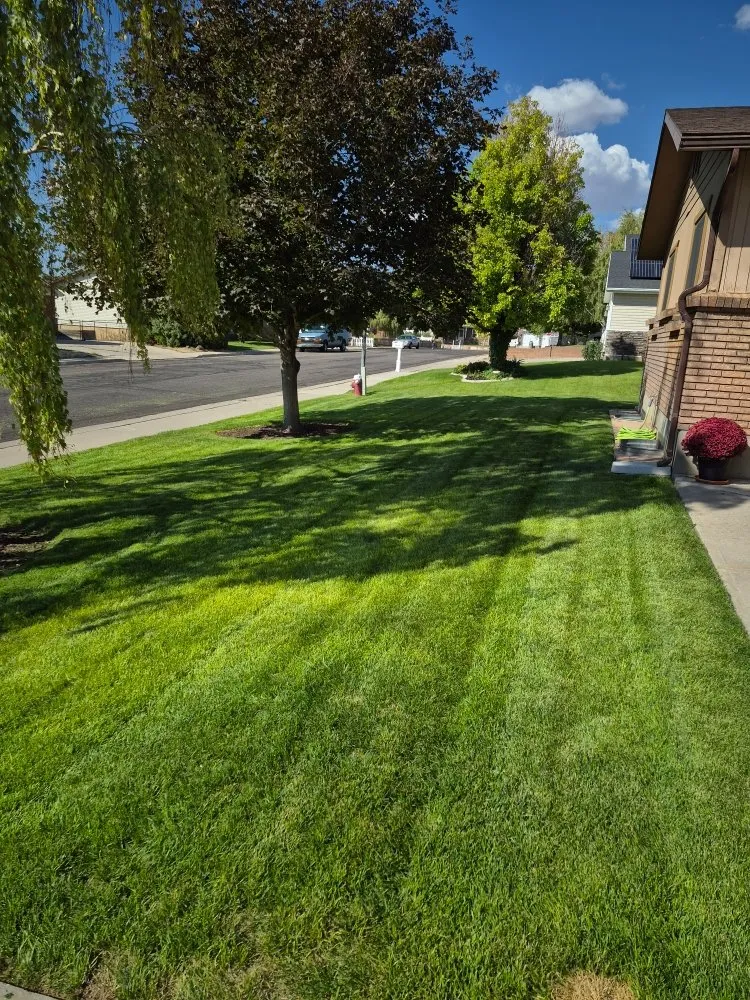 Expert yard cleanup service experts serving Cedar City, UT - Goodvine Property Solutions