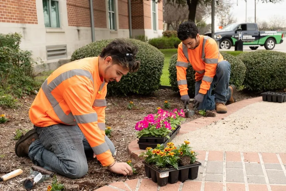 Affordable residential landscaping in San Antonio, TX by Goodwill Commercial Landscaping And Tree Care