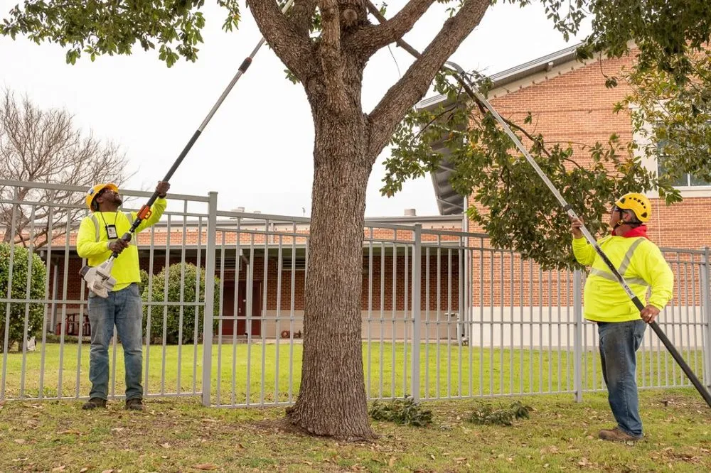 Local garden landscaping in San Antonio, TX - Goodwill Commercial Landscaping And Tree Care