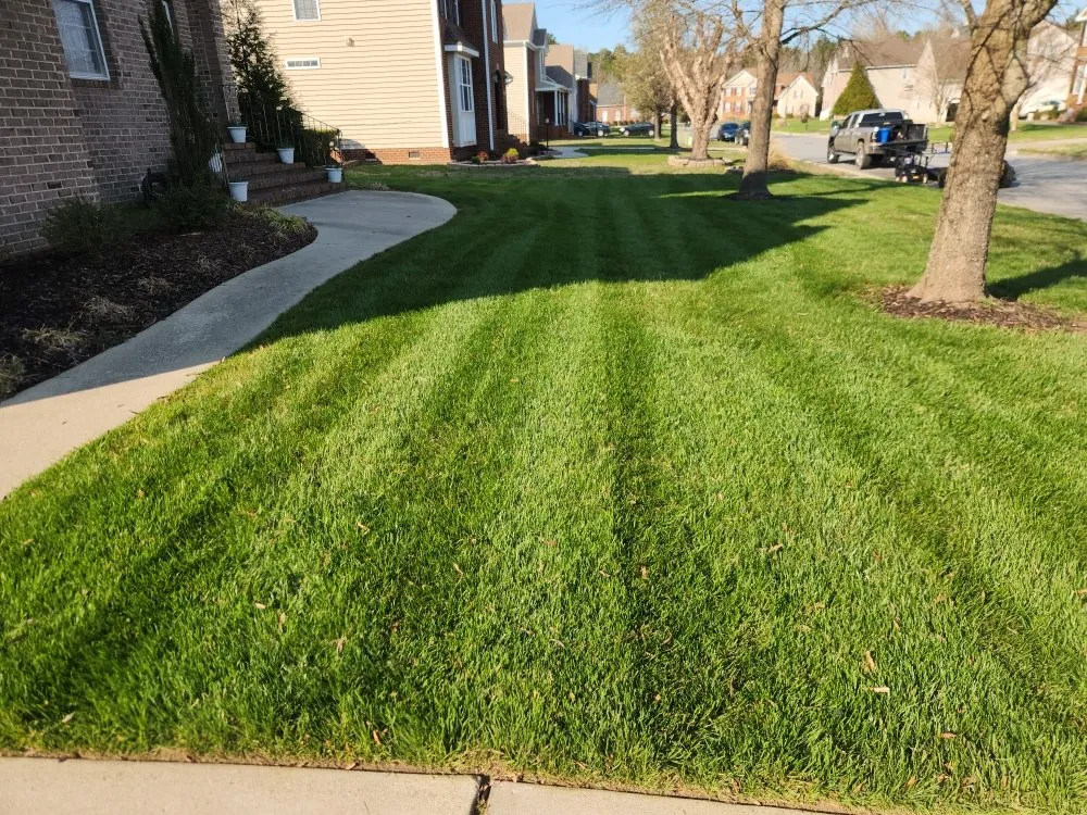 Local yard maintenance for homes in South Mills, NC by Goodwin Enterprises