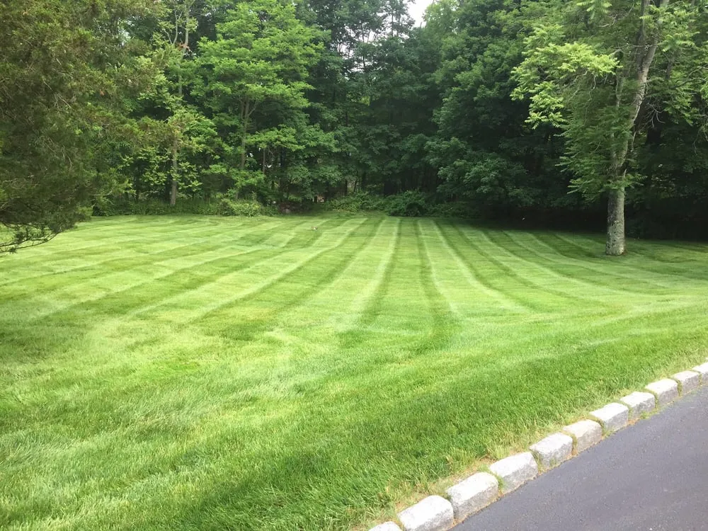 Local landscape design experts serving Greenwich, CT - Goodwin Landscaping