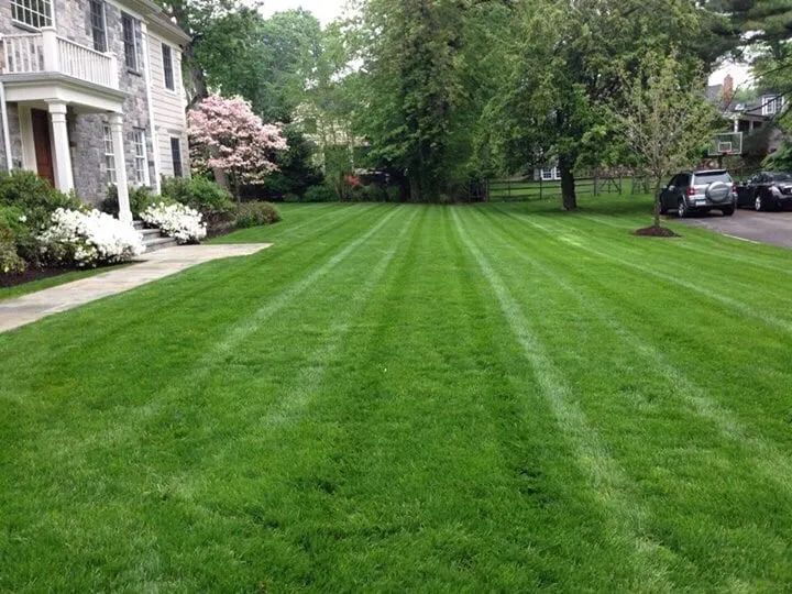 Professional lawn mowing service experts serving Greenwich, CT - Goodwin Landscaping