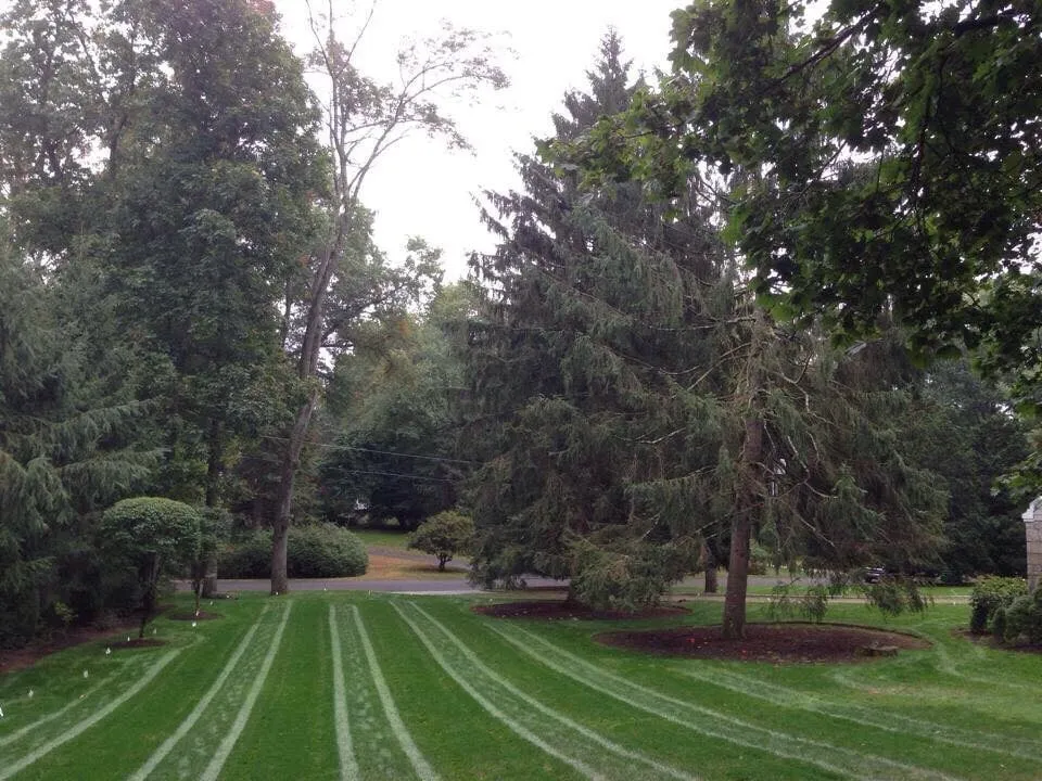 Affordable garden landscaping in Greenwich, CT - Goodwin Landscaping