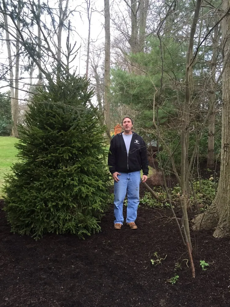 Affordable lawn care service experts serving Greenwich, CT - Goodwin Landscaping