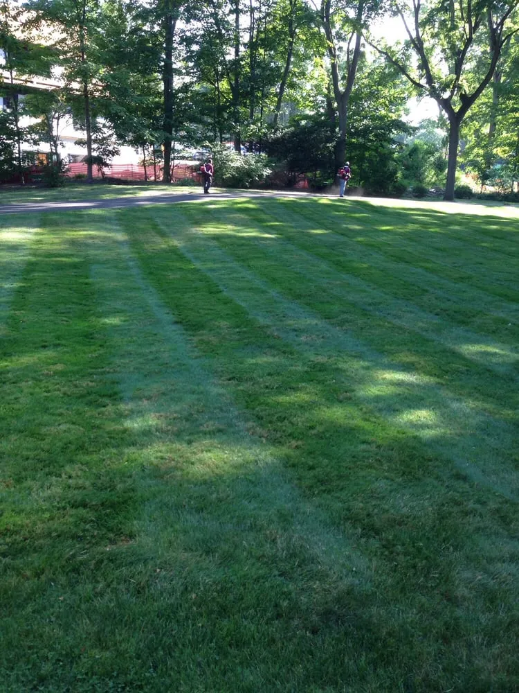 Reliable lawn care service in Greenwich, CT - Goodwin Landscaping