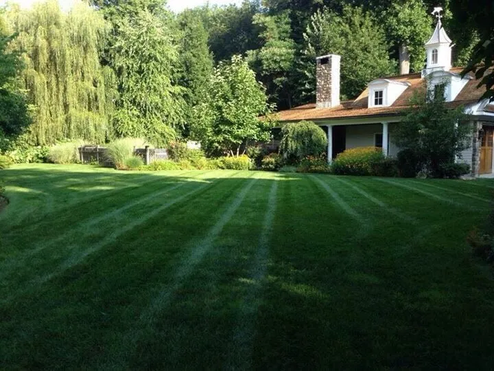 Affordable yard maintenance experts serving Greenwich, CT - Goodwin Landscaping