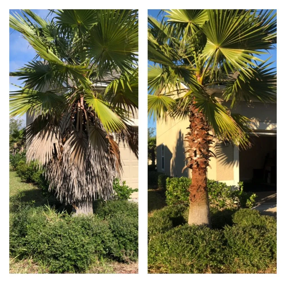 Trusted yard cleanup service near you in Jacksonville, FL by Goodwin Lawn Services