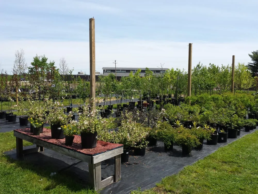 Local lawn mowing service near you in Oxford, ME by Goodwin Nursery, LLC