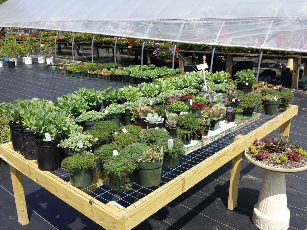 Professional outdoor landscaping with custom design across Oxford, ME - Goodwin Nursery, LLC