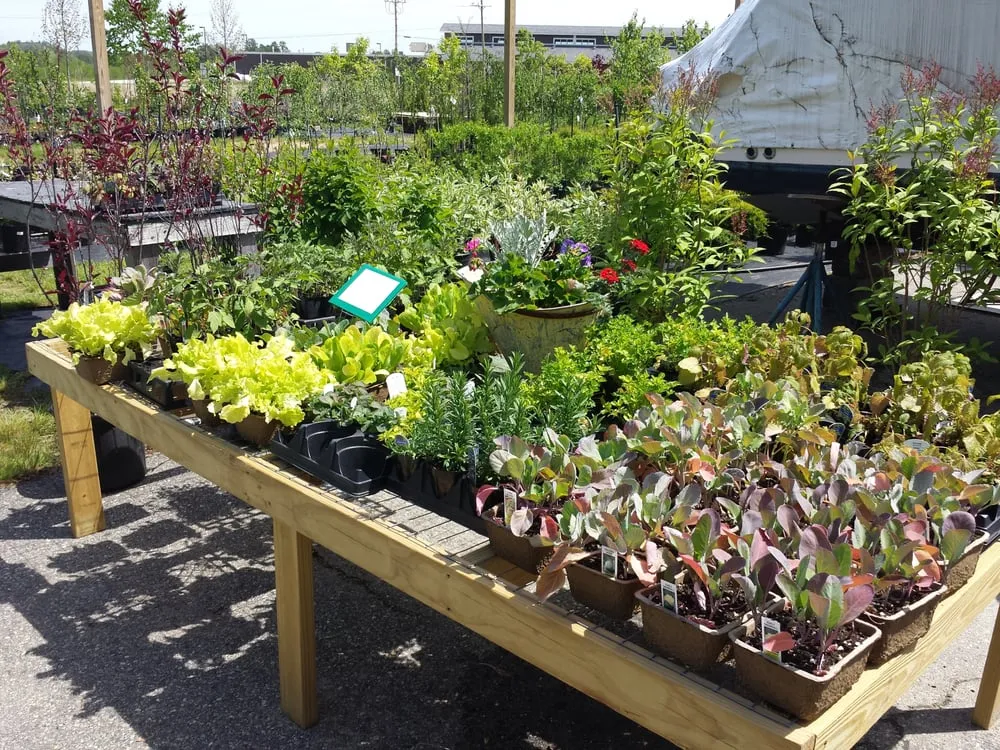 Affordable yard maintenance in Oxford, ME by Goodwin Nursery, LLC