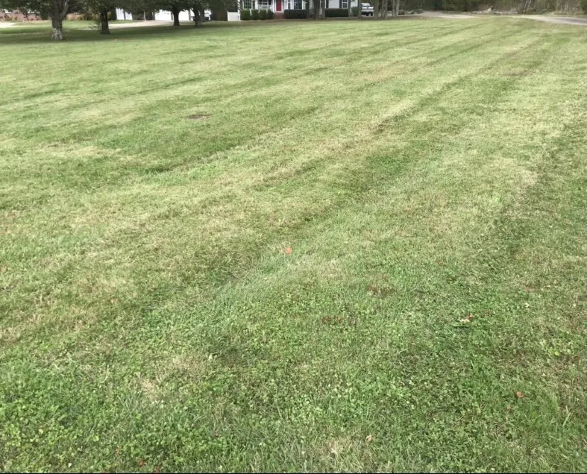 Trusted yard maintenance in Nashville, TN by Goodwin’s Lawn and Landscaping