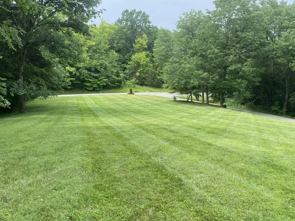 Expert yard cleanup service in Nashville, TN by Goodwin’s Lawn and Landscaping