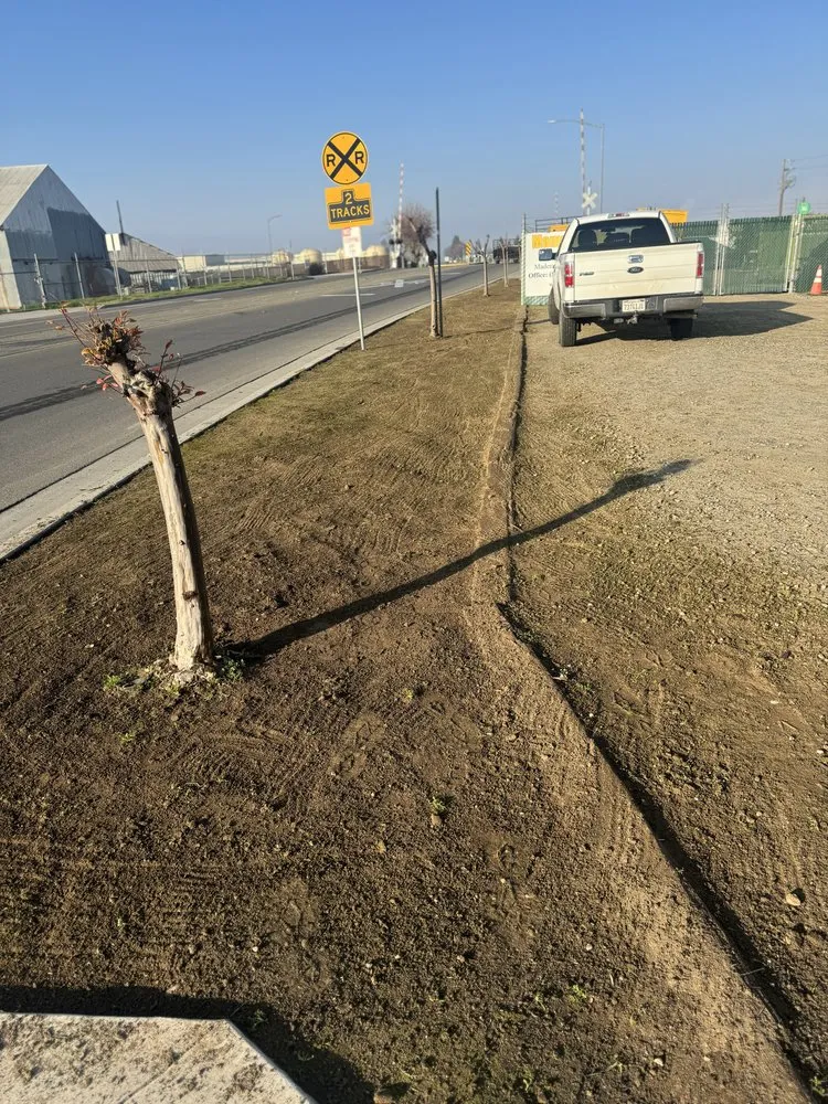 Local yard cleanup service for outdoor upgrades across Madera, CA - Goodys Lawn Services