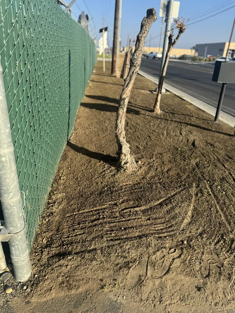 Trusted landscape design near you across Madera, CA - Goodys Lawn Services