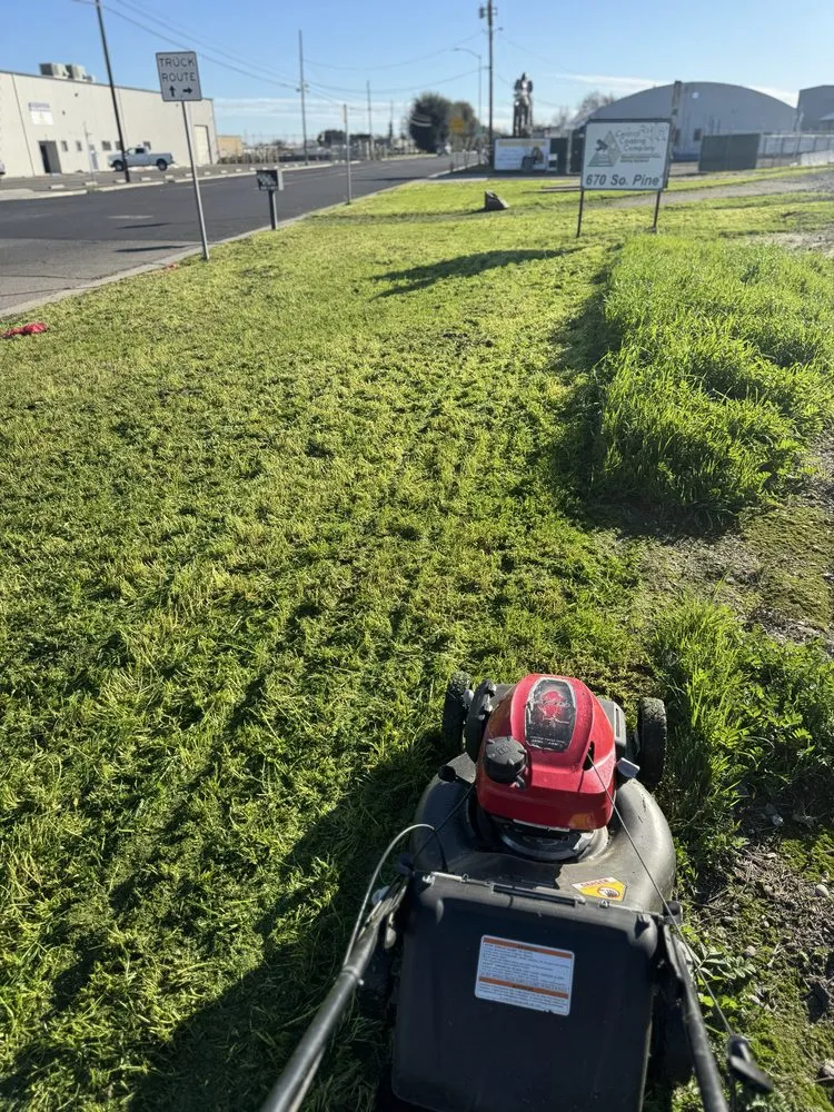 Local lawn care service experts serving Madera, CA - Goodys Lawn Services