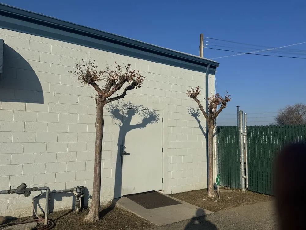 Local yard maintenance for outdoor upgrades across Madera, CA - Goodys Lawn Services