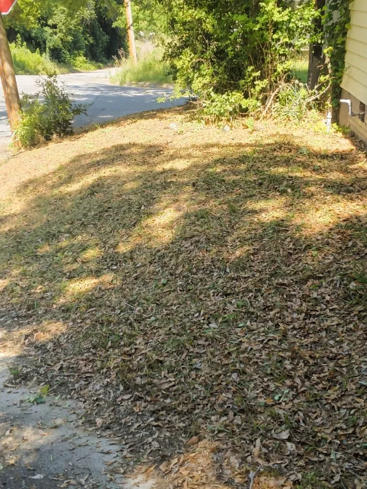 Expert yard cleanup service with custom design across Macon, GA - Goolsbys Lawn Care