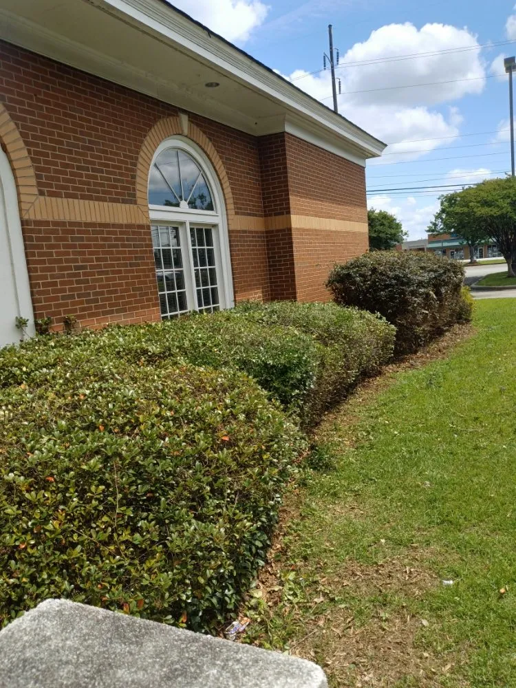 Expert outdoor landscaping for year-round maintenance in Macon, GA by Goolsbys Lawn Care