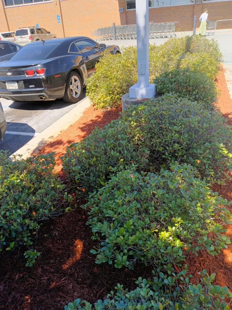 Local lawn care service in Macon, GA by Goolsbys Lawn Care