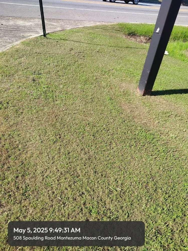 Professional landscaping services near you in Macon, GA by Goolsbys Lawn Care