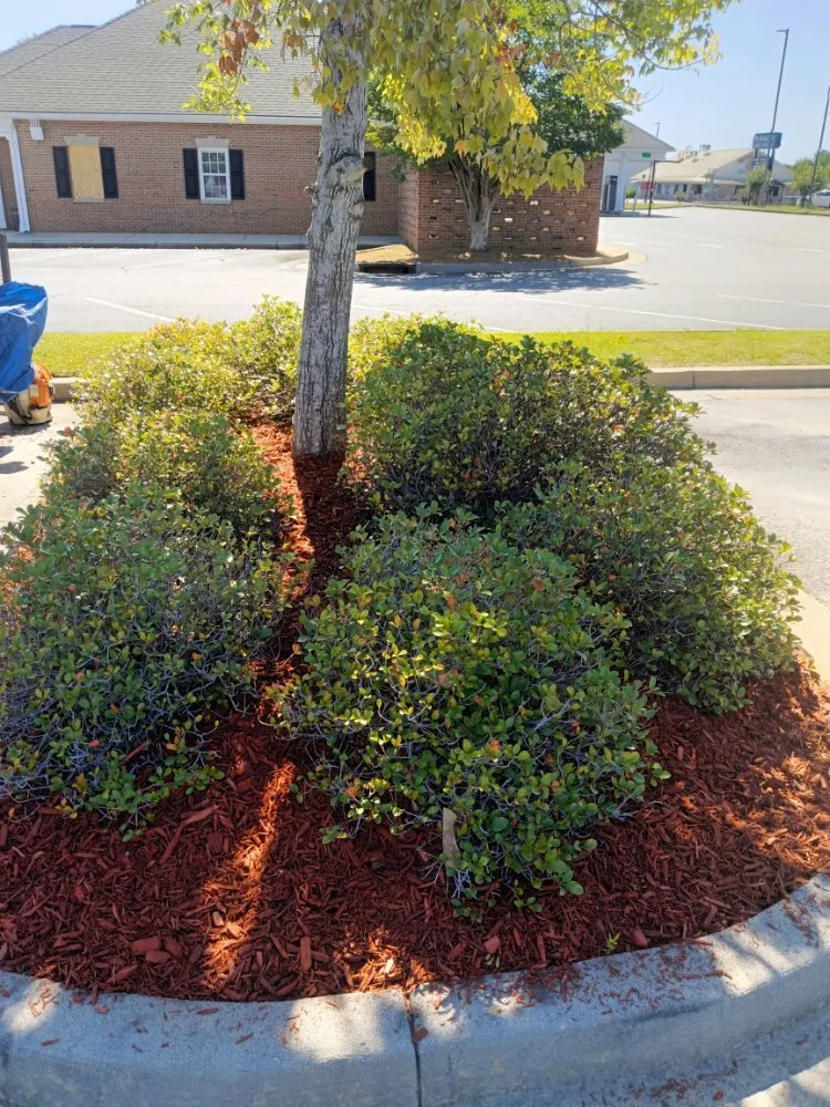 Affordable landscape design in Macon, GA - Goolsbys Lawn Care