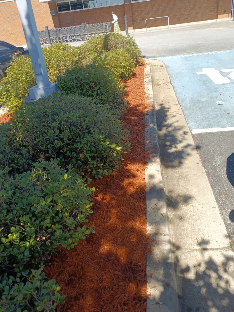 Top-rated landscape design with custom design in Macon, GA by Goolsbys Lawn Care