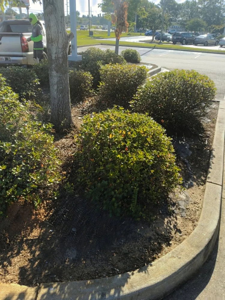 Reliable yard cleanup service for homes across Macon, GA - Goolsbys Lawn Care
