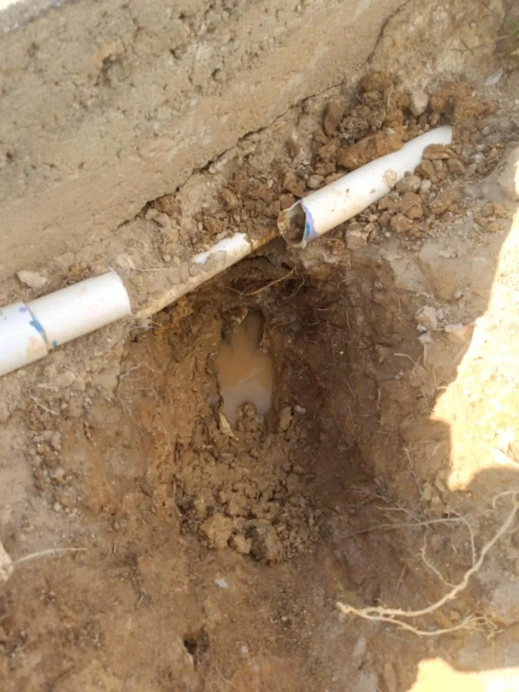 Professional yard cleanup service experts serving Macon, GA - Goolsbys Lawn Care