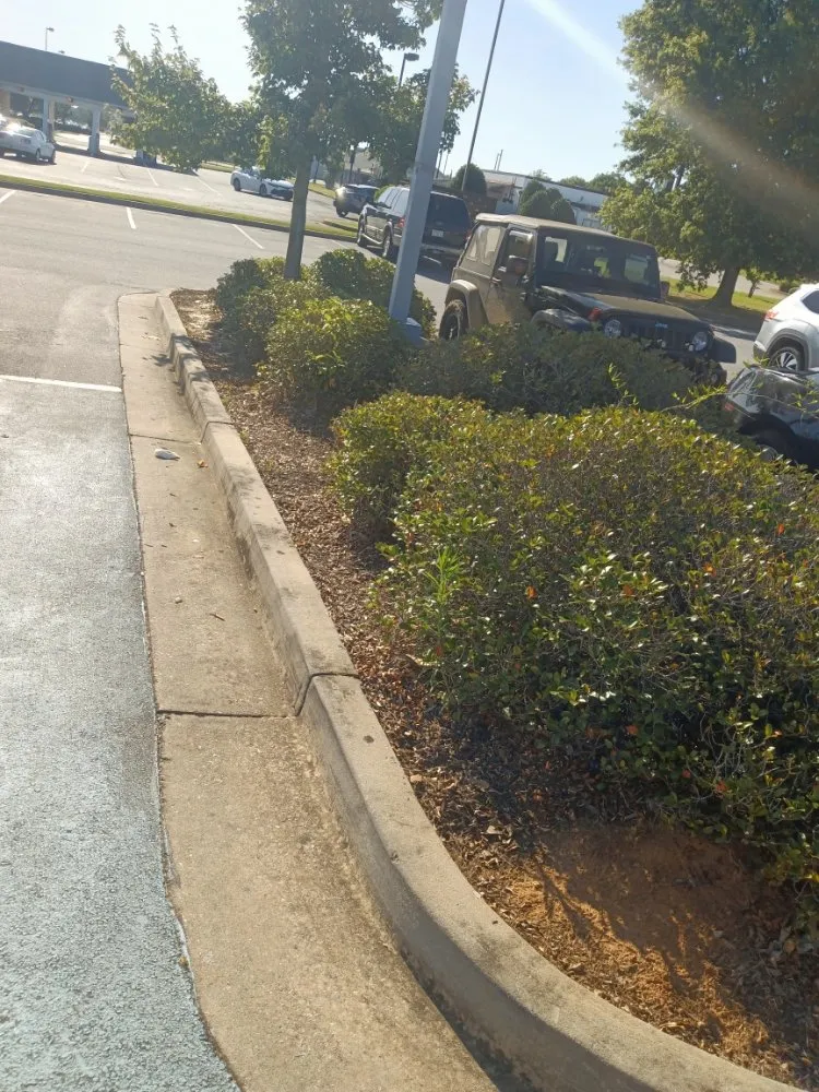 Top-rated landscape design for residential properties across Macon, GA - Goolsbys Lawn Care