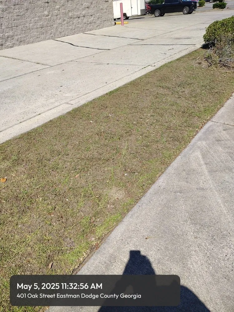 Trusted landscape installation for homes across Macon, GA - Goolsbys Lawn Care