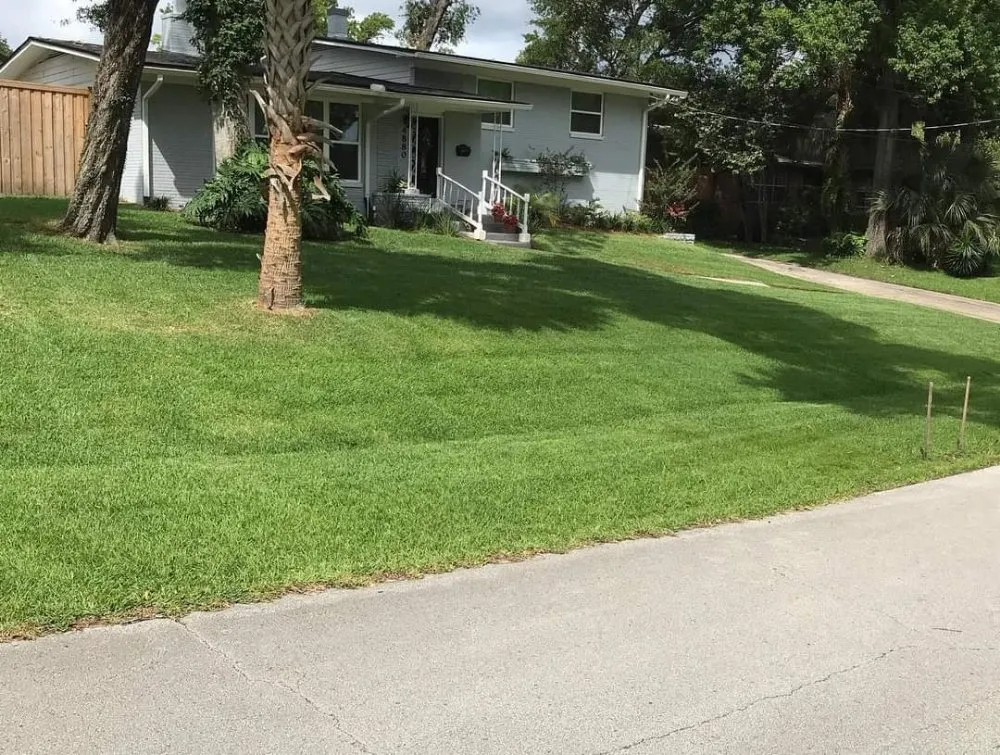 Local yard maintenance for outdoor upgrades across Jacksonville, FL - Goosby and Goosby Lawn Care