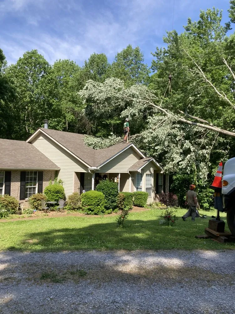 Affordable landscaping services with custom design in Joelton, TN by Goose's Tree Service