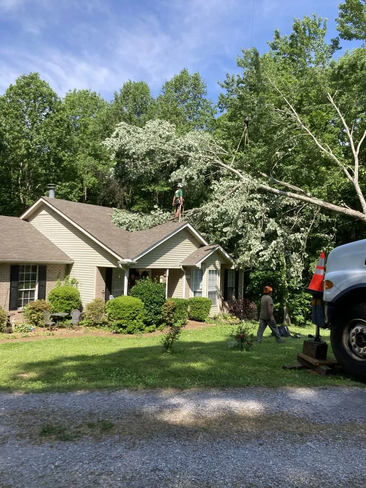 Reliable landscape installation in Joelton, TN by Goose's Tree Service