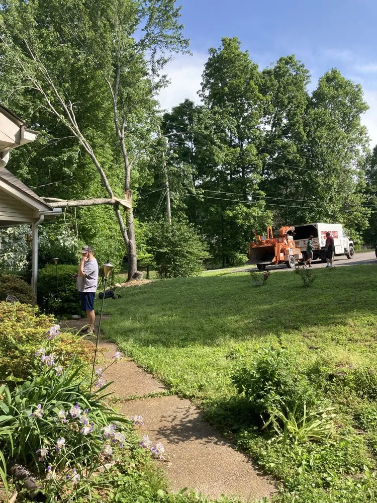 Custom landscaping services experts serving Joelton, TN - Goose's Tree Service