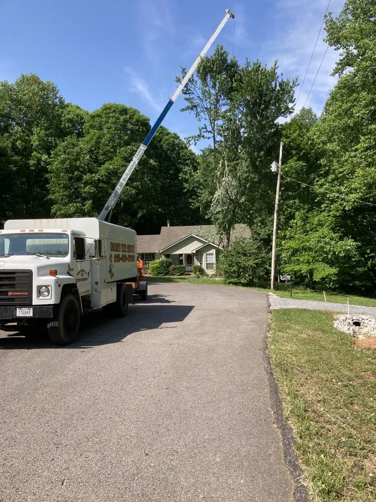 Reliable residential landscaping in Joelton, TN - Goose's Tree Service