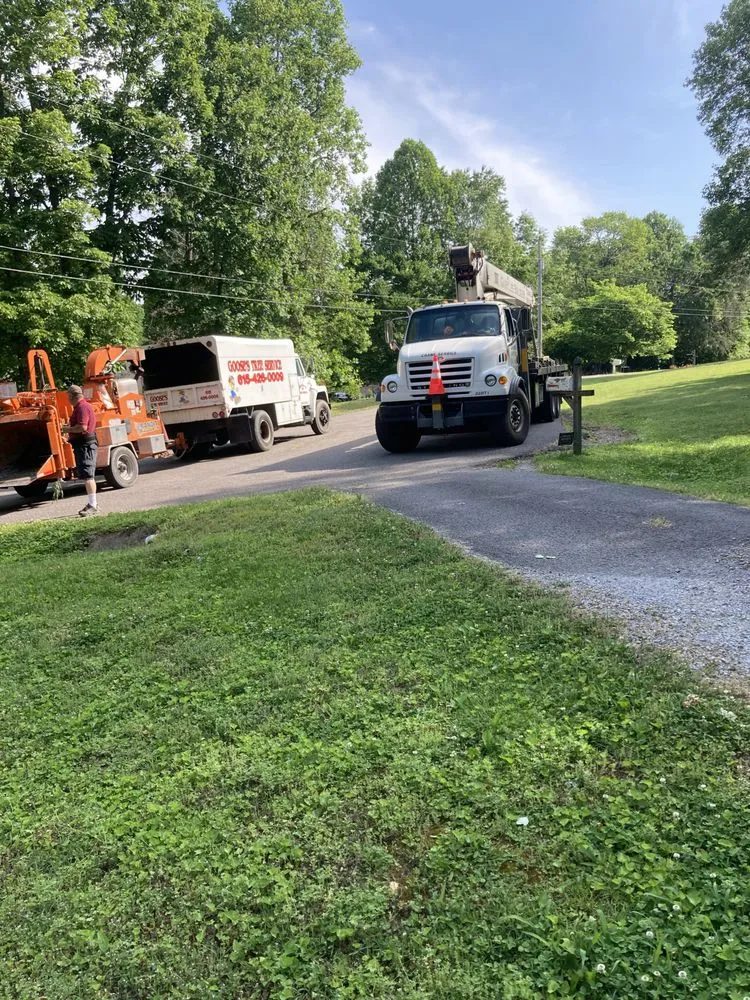 Affordable lawn mowing service in Joelton, TN by Goose's Tree Service