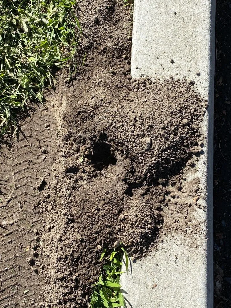 Professional landscaping services in Richmond, CA by Gopher Bros