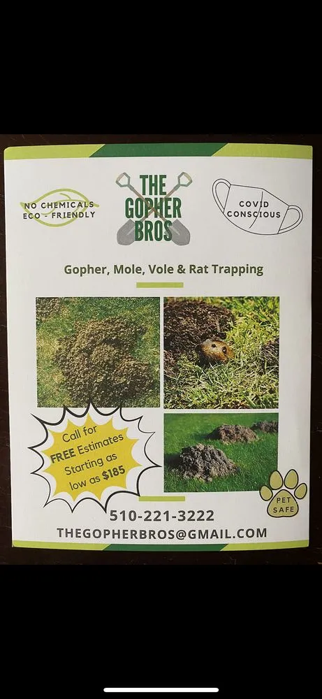 Custom garden landscaping experts serving Richmond, CA - Gopher Bros