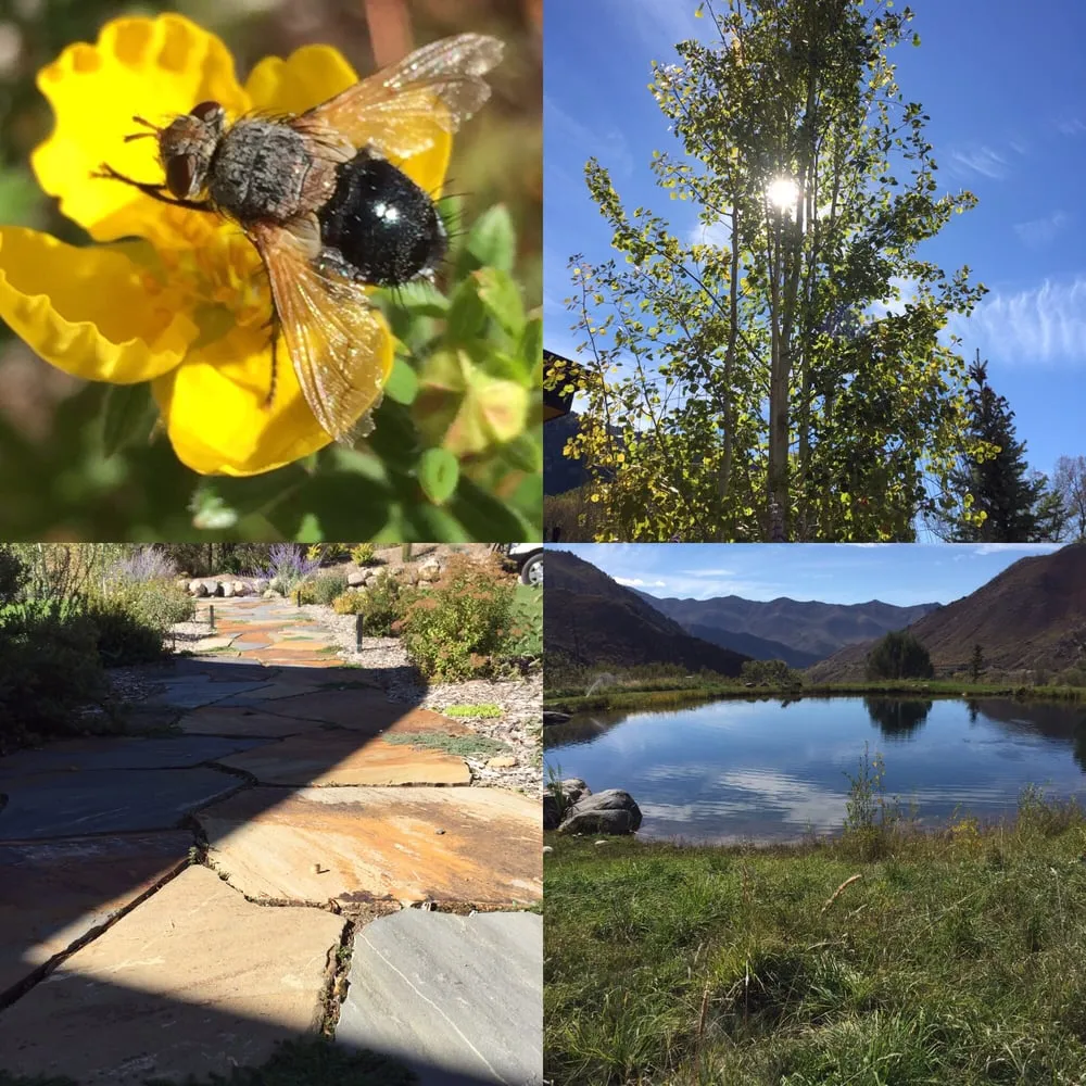 Expert landscaping services in Silt, CO by Gopher Irrigation & Landscaping