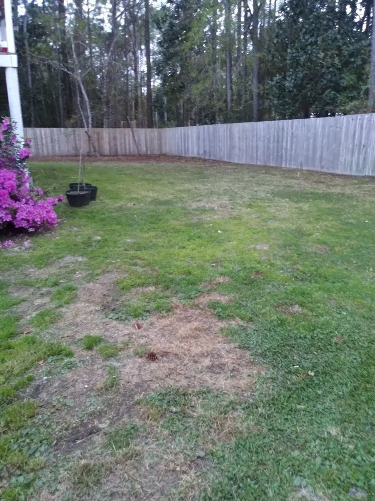 Local yard cleanup service experts serving Panama City, FL - Gopher Lawn and Landscape