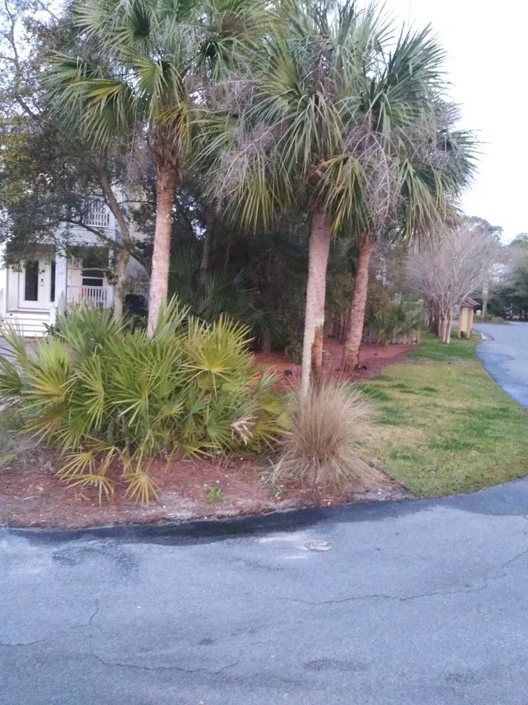 Top-rated lawn mowing service in Panama City, FL by Gopher Lawn and Landscape