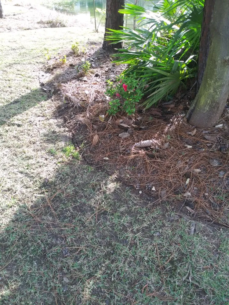 Reliable yard cleanup service experts serving Panama City, FL - Gopher Lawn and Landscape