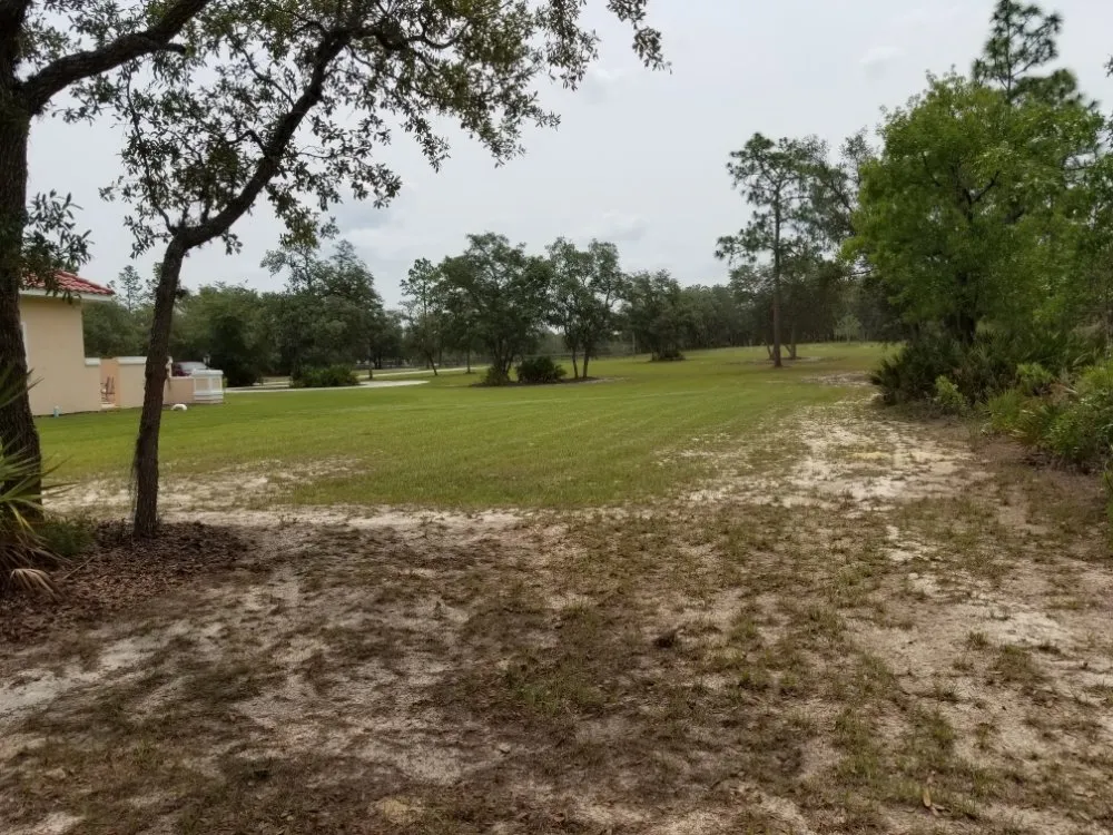 Top-rated outdoor landscaping for homes across Inverness, FL - Goran's Lawncare & Tree's