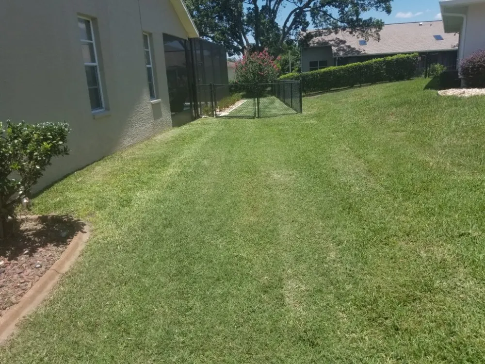 Expert landscape design experts serving Inverness, FL - Goran's Lawncare & Tree's