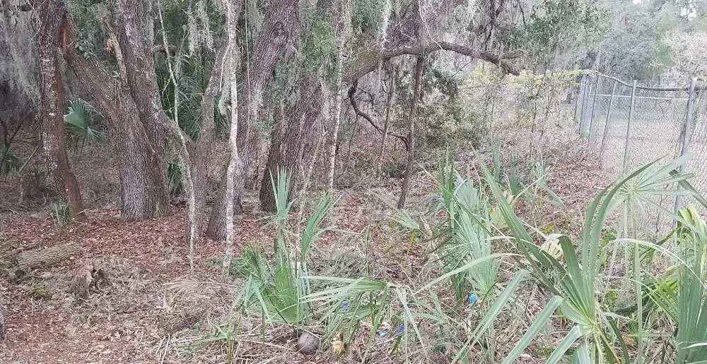 Local landscaping services with custom design across Inverness, FL - Goran's Lawncare & Tree's