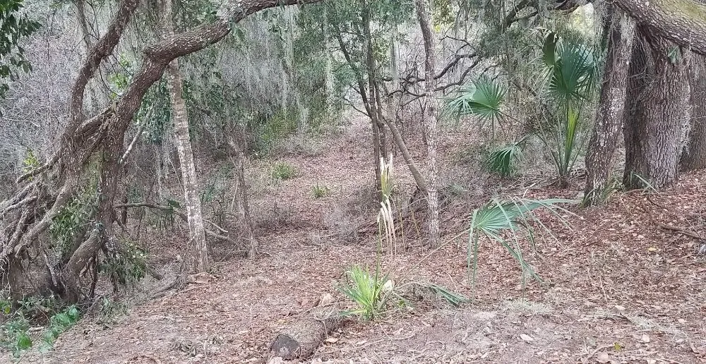 Affordable garden landscaping for beautiful yards across Inverness, FL - Goran's Lawncare & Tree's
